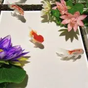 マルコ