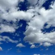 ちゃむの画像