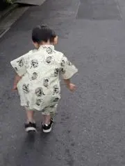 ツェルの画像