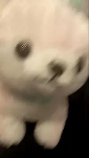 ミケランジェロ太の画像