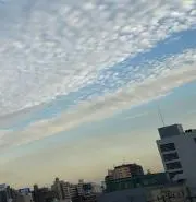 あおぞらの画像