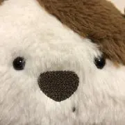 けいじ