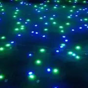 エリーの画像