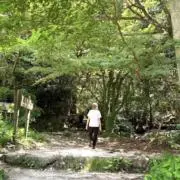 あや