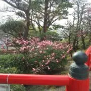 宝物殿 プロフ必読❗コレクション断捨離中の画像