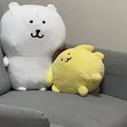 ひれの画像