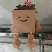 rpの画像