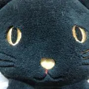 きなこ