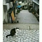 ★みぃみぃ★コメント逃げ非常に不愉快❌