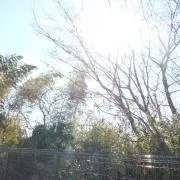 ヤマ