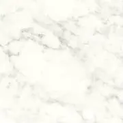 Mの画像