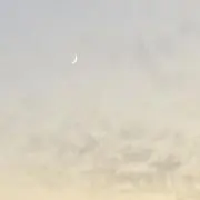 まりの画像