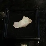 オパールの画像
