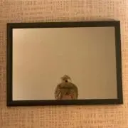 まの画像