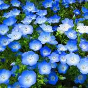 Korehi プロフィール必読願います。の画像