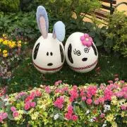 とんの画像