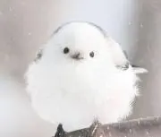 ウマ娘 ヴィブロスぬいぐるみ コミケ ヒトミミ - メルカリ