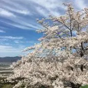 あこの画像