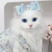 にゃにゃの画像