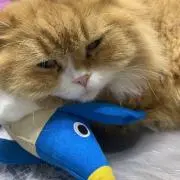 かおり