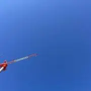 キノの画像