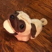 kunの画像
