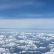 mua