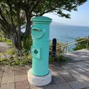 Sakuraの画像