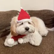 sの画像