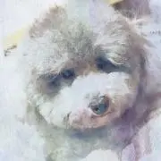 ebi3