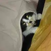 まなと