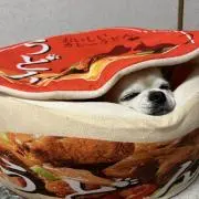なつみの画像