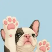 パグの画像