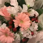 りんの画像