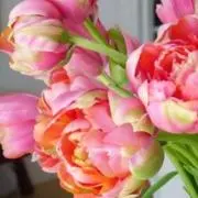 新品❗️CREED ディスカバリー ギフトセット F3 フォーハー 3本セット