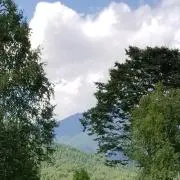 ジーン　プロフ読んでくださると嬉しいですの画像