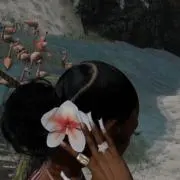 SOFEAの画像
