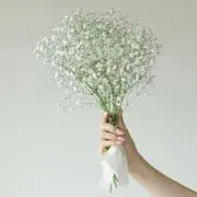 aタロー♡꙼̈の画像