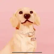 ふじた