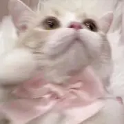 梅水晶