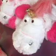 さくらの画像