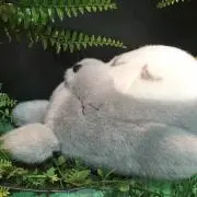 あやの画像