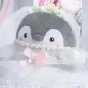 なぁちゃんの画像