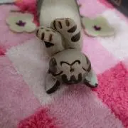 ステキ大好き