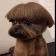 ゆいの画像