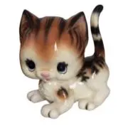 いかの画像