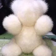 コレクションの画像