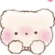 ʕ•ᴥ•ʔの画像