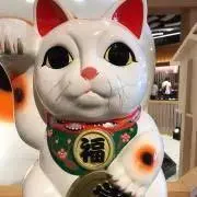 うさぎのミー