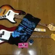 Hi-T4s